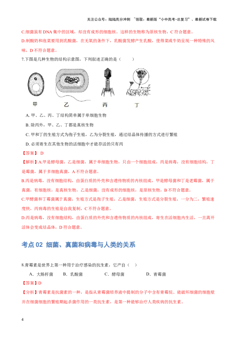 专题18细菌、真菌和病毒（练习）（解析版）_02中考总复习（2026版更新中）_08-生物-中考总复习_2024年中考复习资料_一轮复习_❤2024年中考生物一轮复习讲练测（全国通用）_练习