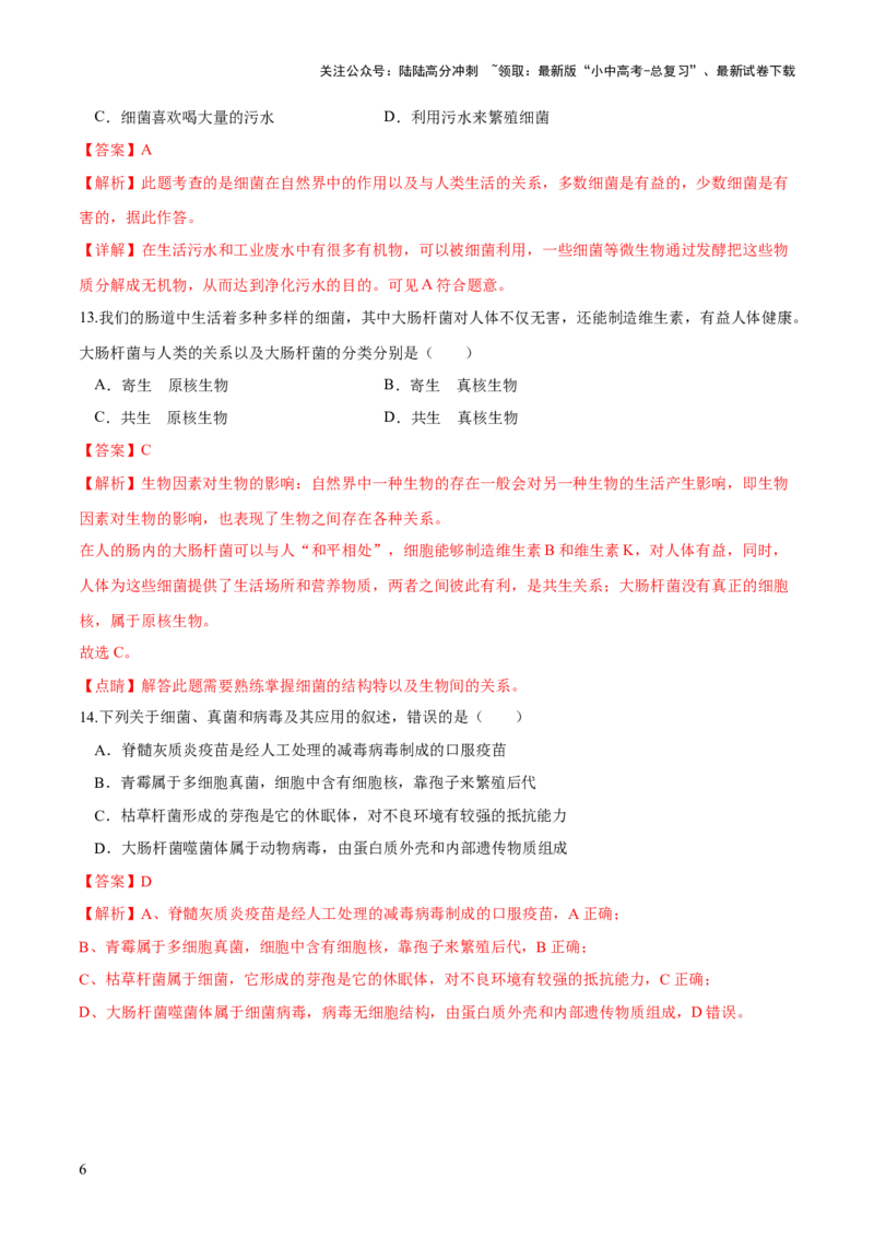 专题18细菌、真菌和病毒（练习）（解析版）_02中考总复习（2026版更新中）_08-生物-中考总复习_2024年中考复习资料_一轮复习_❤2024年中考生物一轮复习讲练测（全国通用）_练习