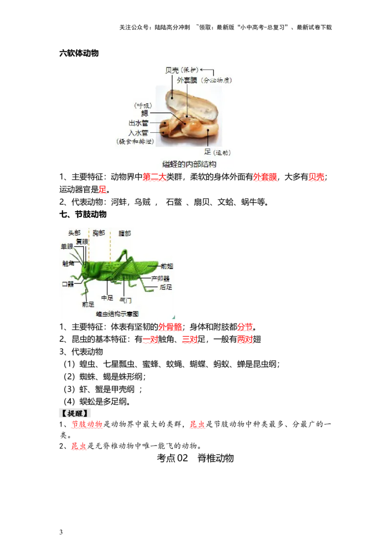 专题16动物的主要类群（背记帮）-备战2024年中考生物一轮复习考点帮_02中考总复习（2026版更新中）_08-生物-中考总复习_2024年中考复习资料_一轮复习_必背考点
