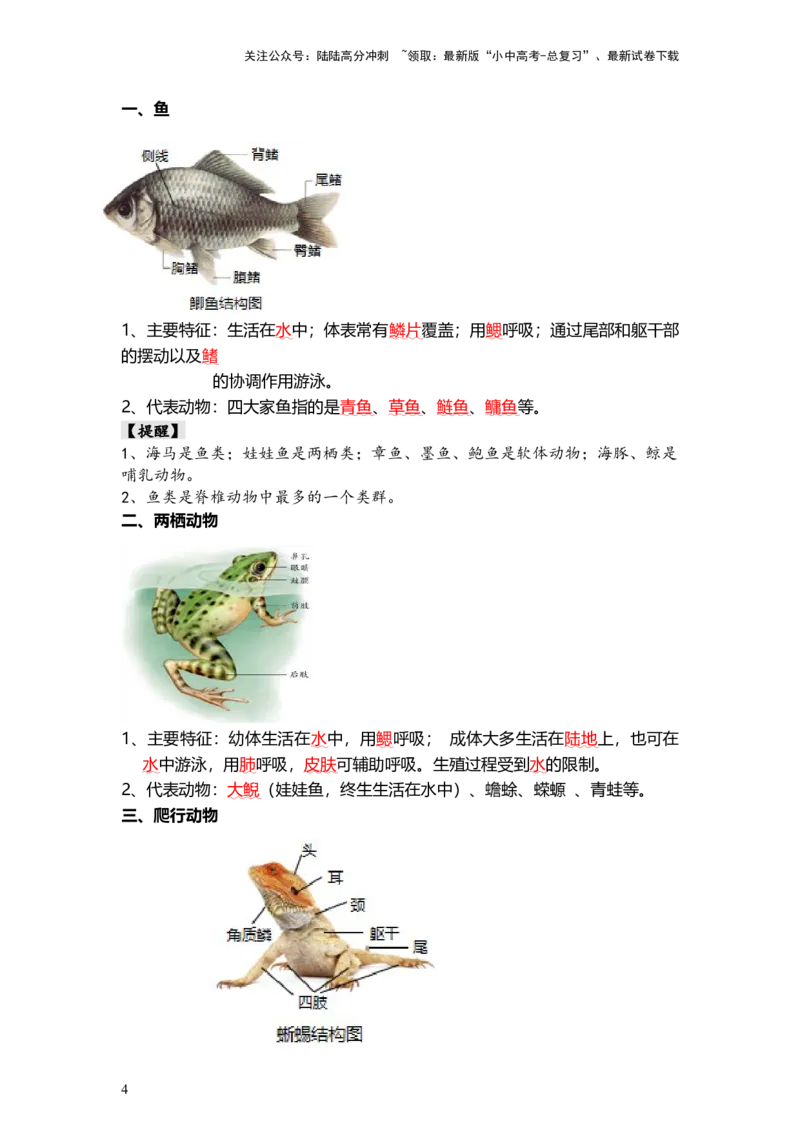专题16动物的主要类群（背记帮）-备战2024年中考生物一轮复习考点帮_02中考总复习（2026版更新中）_08-生物-中考总复习_2024年中考复习资料_一轮复习_必背考点