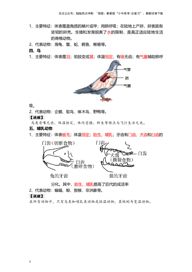 专题16动物的主要类群（背记帮）-备战2024年中考生物一轮复习考点帮_02中考总复习（2026版更新中）_08-生物-中考总复习_2024年中考复习资料_一轮复习_必背考点