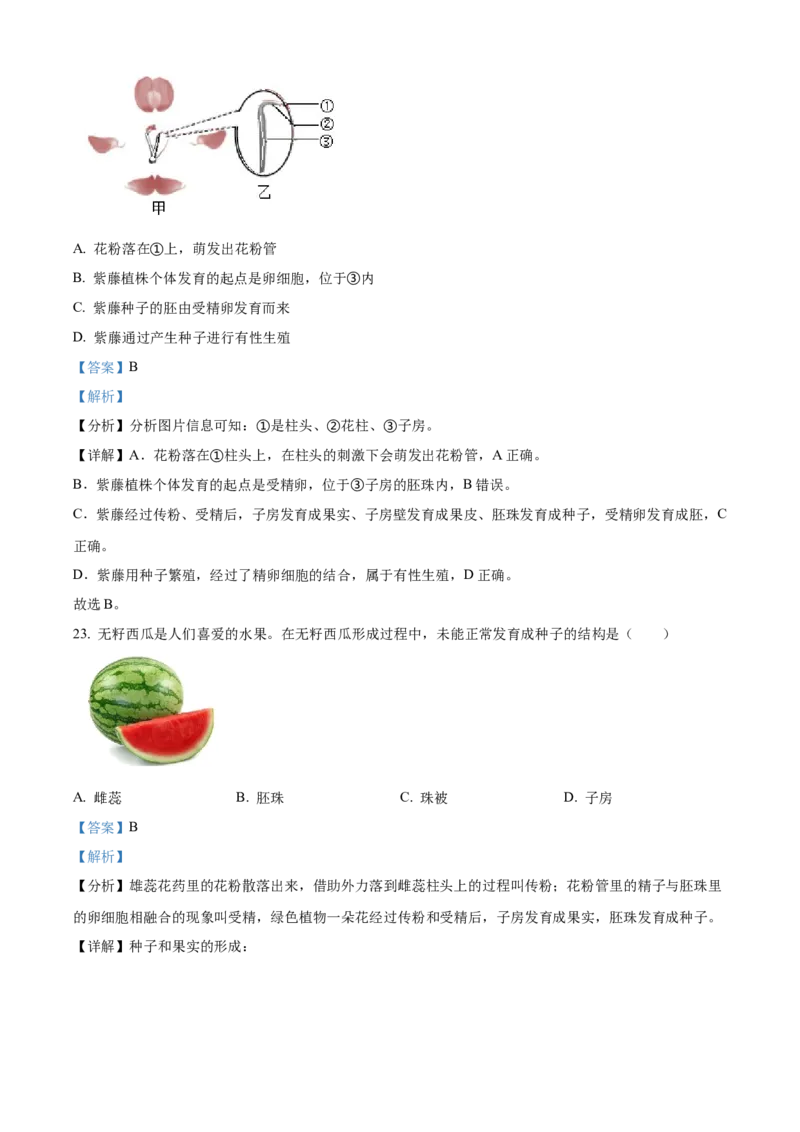 精品解析：北京市中国人民大学附属中学朝阳学校2022-2023学年八年级上学期期中生物试题（解析版）(1)_北京初中期末题_C605-京七八九_B京生物七八九_北京八上生物_2022-2023