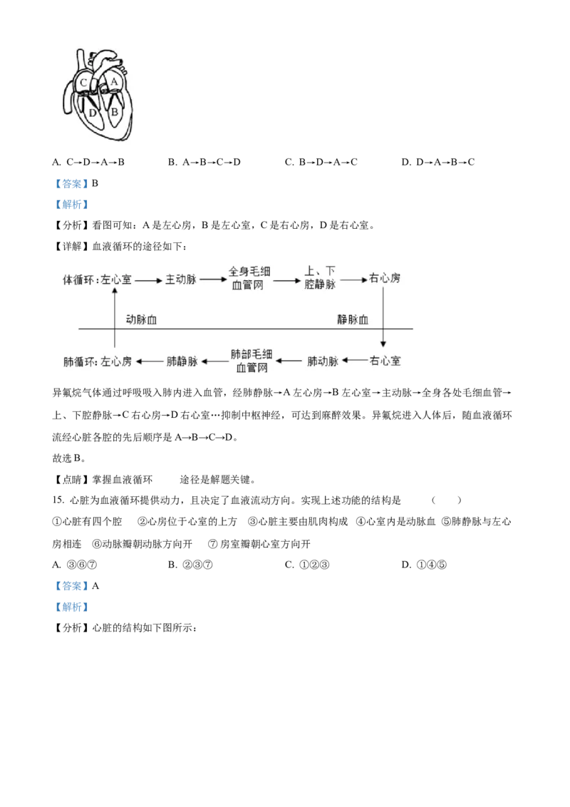 精品解析：北京人民大学附属中学2021-2022学年八年级下学期生物课后服务（六）（解析版）(1)_北京初中期末题_C605-京七八九_B京生物七八九_北京八下生物