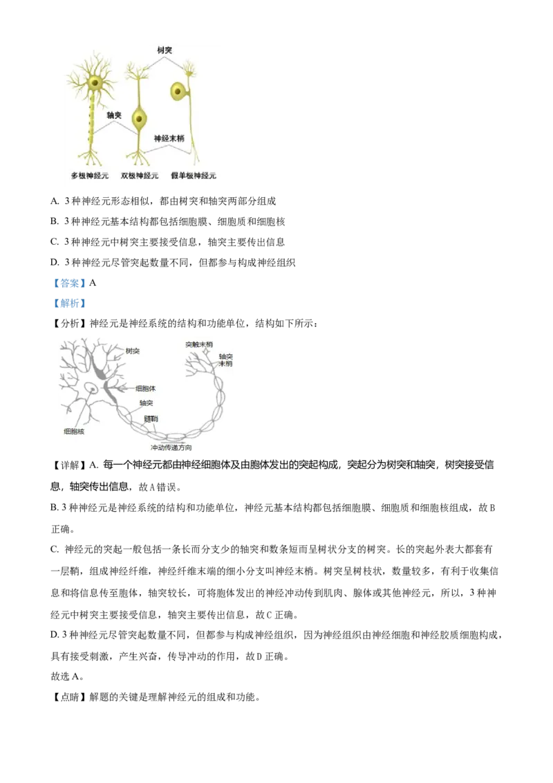 精品解析：北京人民大学附属中学2021-2022学年八年级下学期生物课后服务（六）（解析版）(1)_北京初中期末题_C605-京七八九_B京生物七八九_北京八下生物