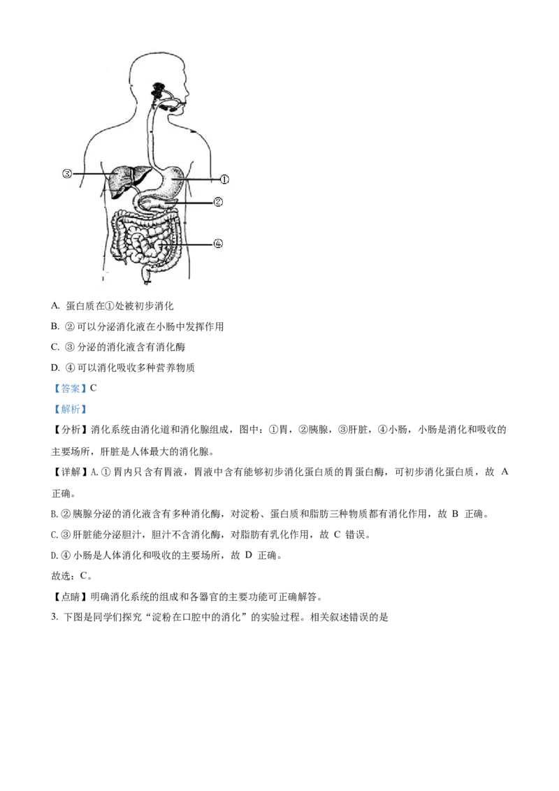 精品解析：北京人民大学附属中学2021-2022学年八年级下学期生物课后服务（六）（解析版）(1)_北京初中期末题_C605-京七八九_B京生物七八九_北京八下生物