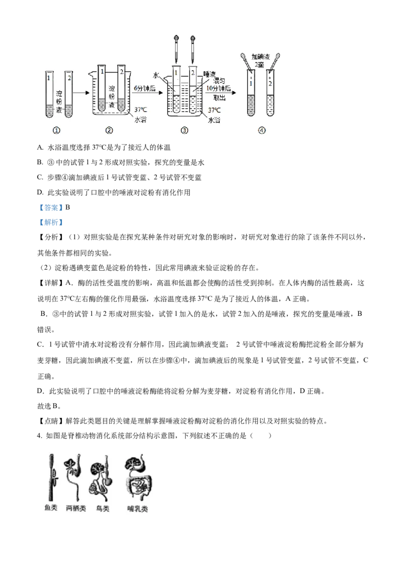 精品解析：北京人民大学附属中学2021-2022学年八年级下学期生物课后服务（六）（解析版）(1)_北京初中期末题_C605-京七八九_B京生物七八九_北京八下生物
