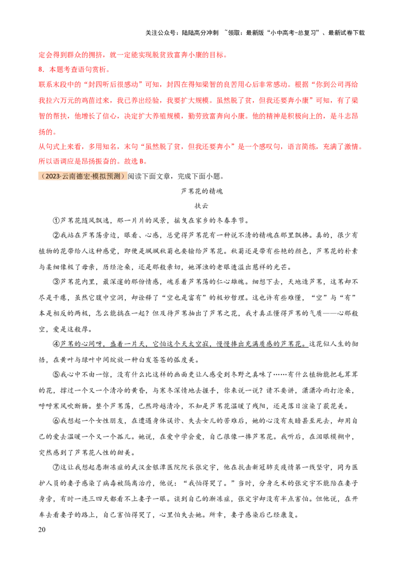 专题21分析写作手法（讲练）-2024年中考语文二轮复习讲练测（全国通用）（解析版）_02中考总复习（2026版更新中）_01-语文-中考总复习_2024年中考资料_二轮复习_讲义