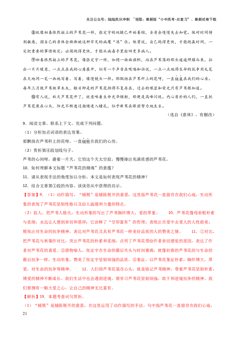 专题21分析写作手法（讲练）-2024年中考语文二轮复习讲练测（全国通用）（解析版）_02中考总复习（2026版更新中）_01-语文-中考总复习_2024年中考资料_二轮复习_讲义