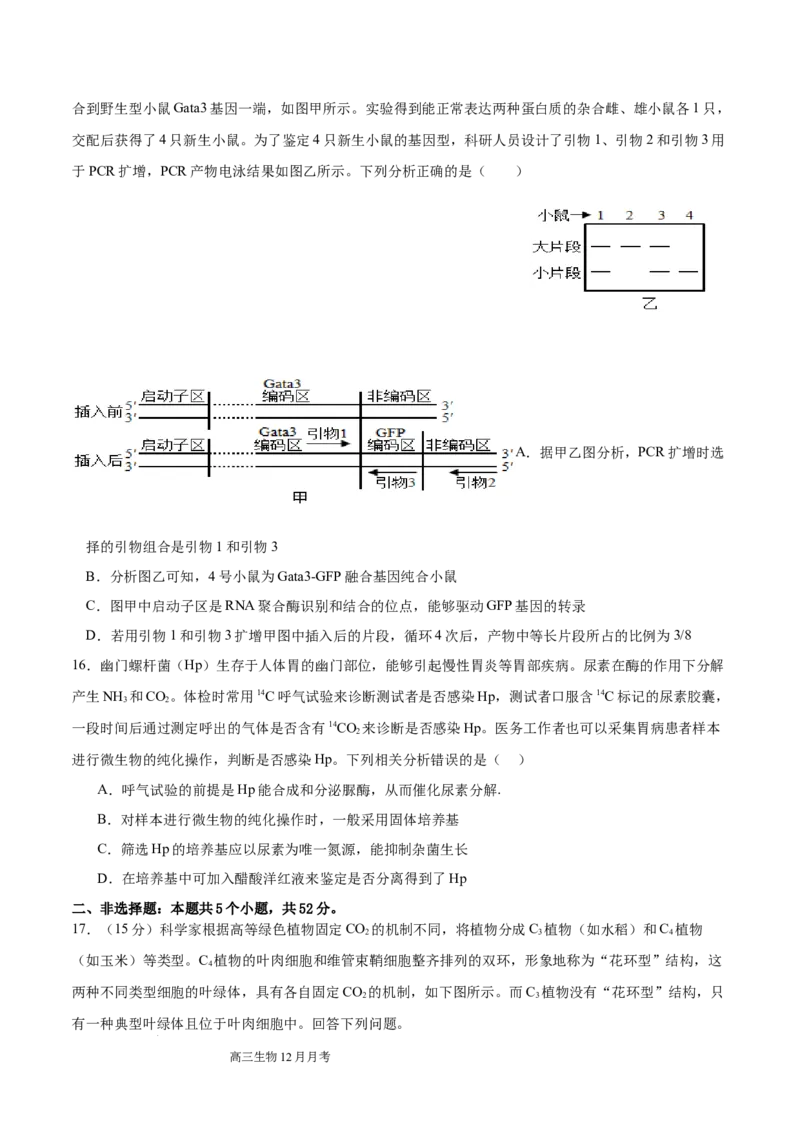 四川省成都列五中学2024-2025学年高三上学期12月月考生物_A1502026各地模拟卷（超值！）_12月_241217四川省成都列五中学2024-2025学年高三上学期12月月考（全科）