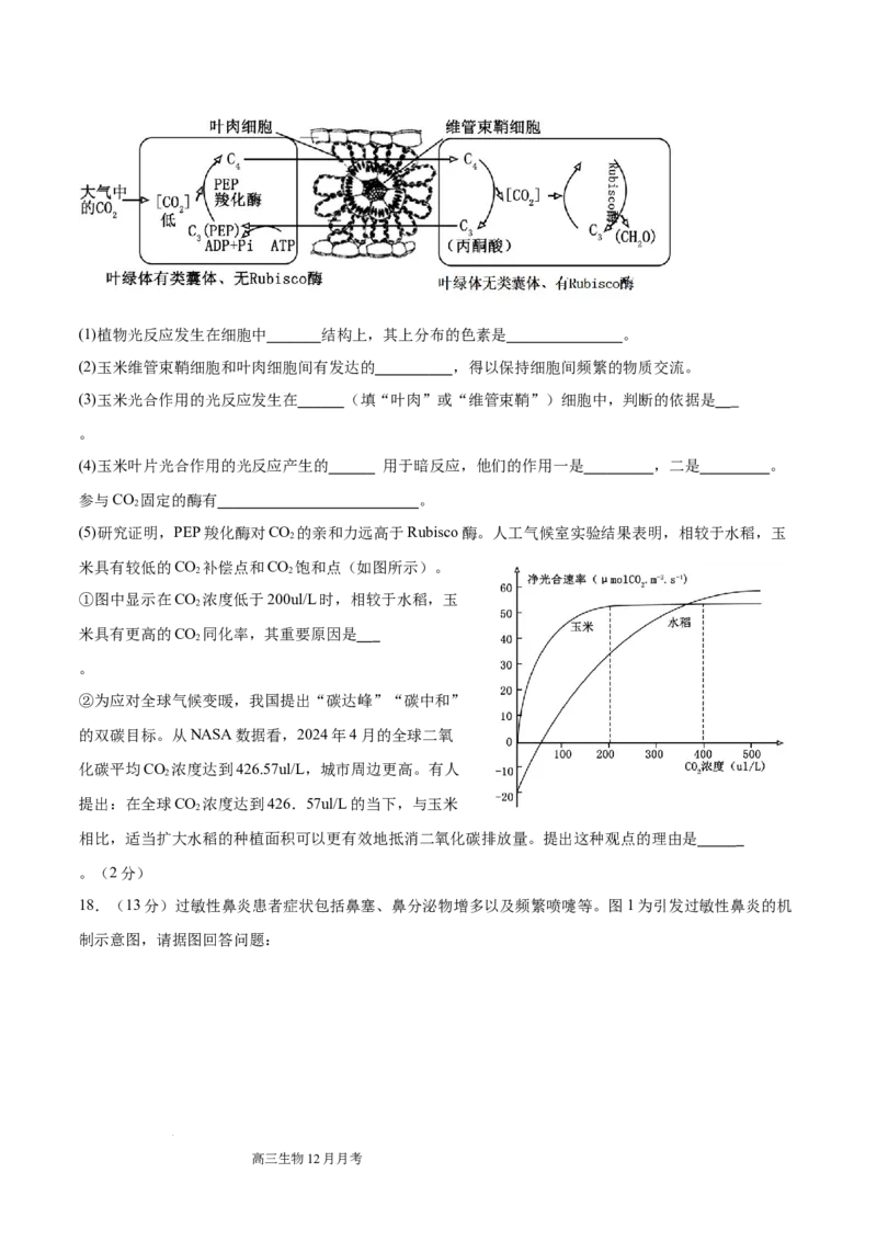 四川省成都列五中学2024-2025学年高三上学期12月月考生物_A1502026各地模拟卷（超值！）_12月_241217四川省成都列五中学2024-2025学年高三上学期12月月考（全科）