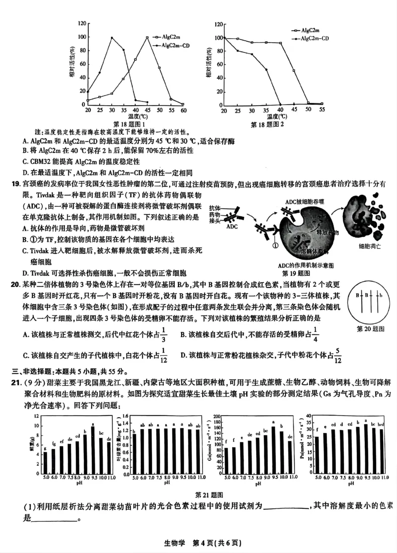 东北三省精准教学2024-2025学年高三上学期9月联考生物试卷_A1502026各地模拟卷（超值！）_9月_240905东北三省精准教学2024-2025学年高三上学期9月联考