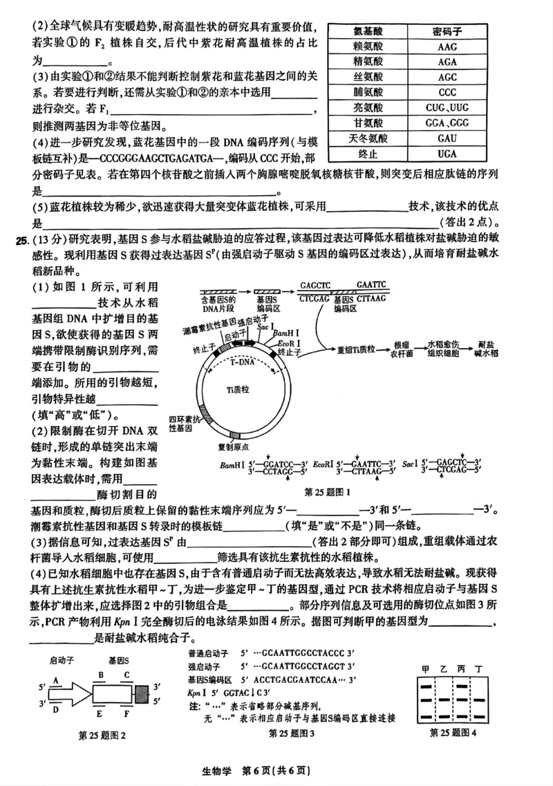东北三省精准教学2024-2025学年高三上学期9月联考生物试卷_A1502026各地模拟卷（超值！）_9月_240905东北三省精准教学2024-2025学年高三上学期9月联考