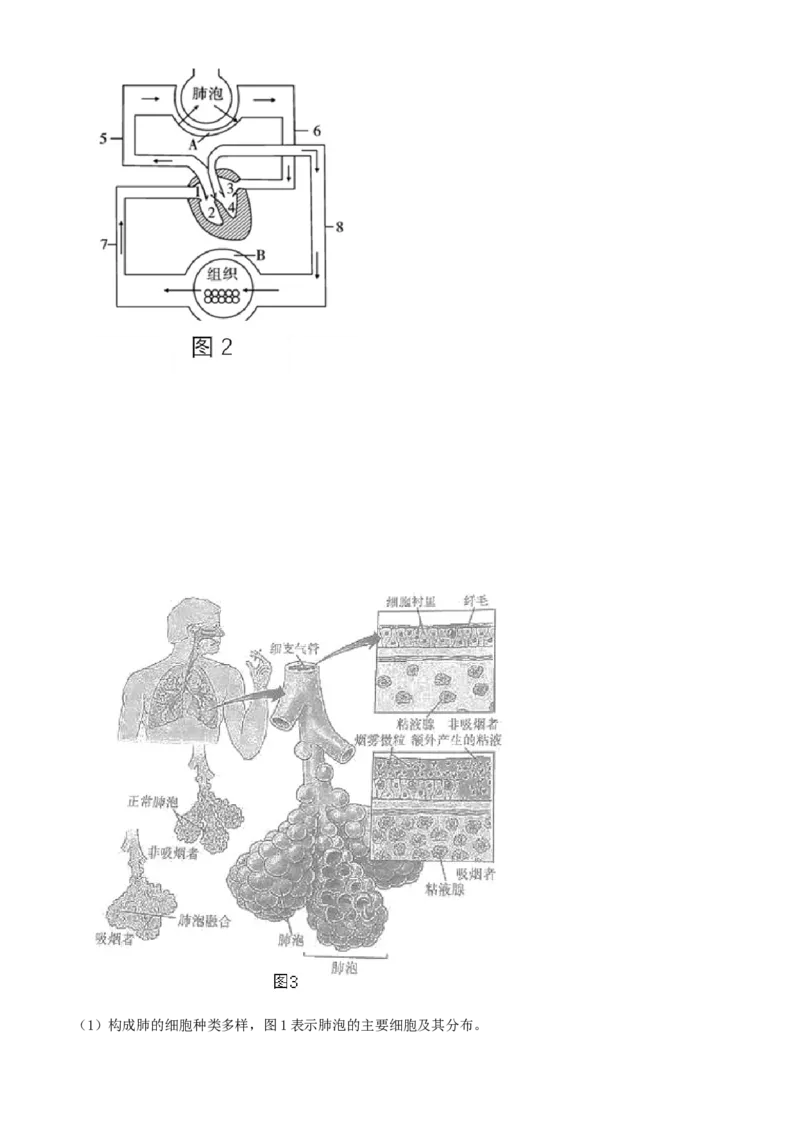 精品解析：北京市北京师范大学实验华夏女子中学2021-2022学年八年级下学期期中生物试题（解析版）(1)_北京初中期末题_C605-京七八九_B京生物七八九_北京八下生物