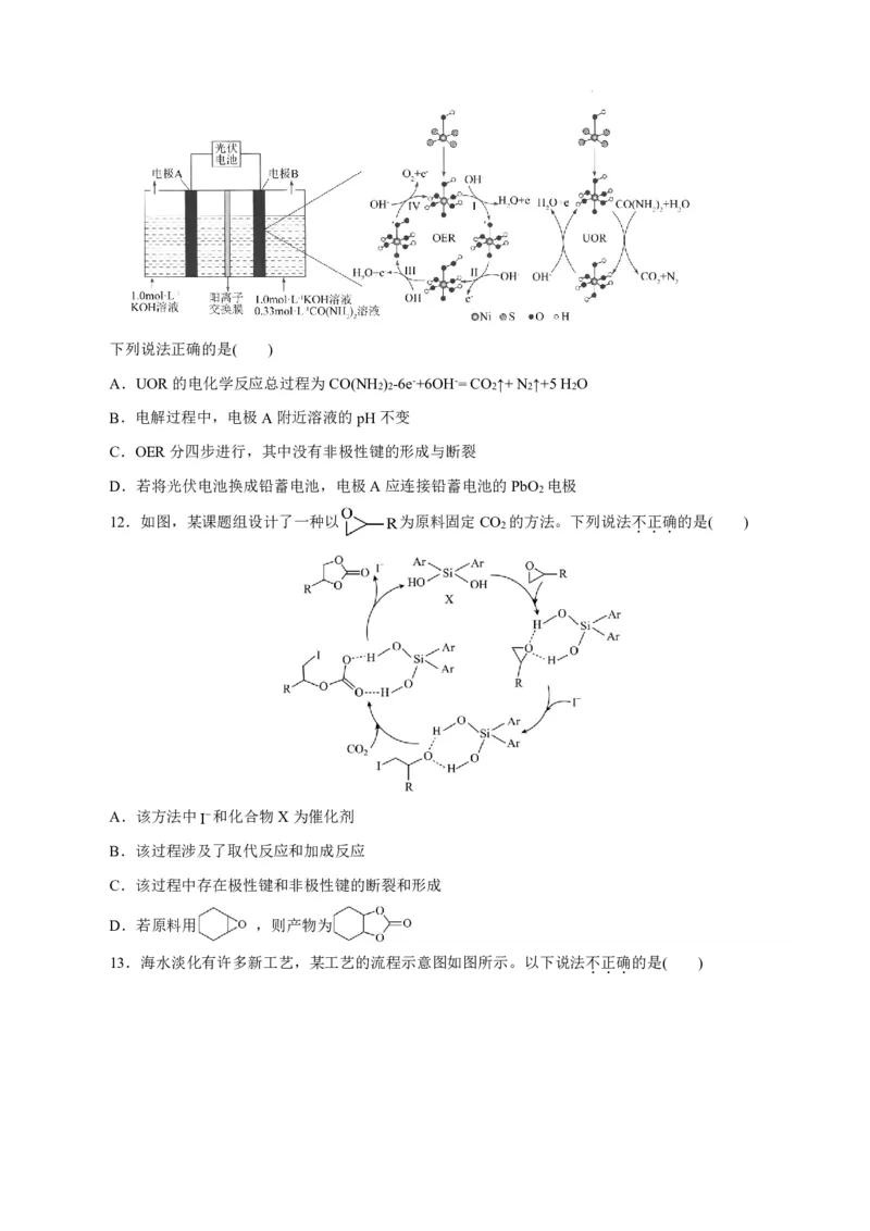 八省2025届高三&ldquo;八省联考&rdquo;考前猜想卷化学（15+4）考试版A4_A1502026各地模拟卷（超值！）_12月_2412312025届高三&ldquo;八省联考&rdquo;考前猜想卷