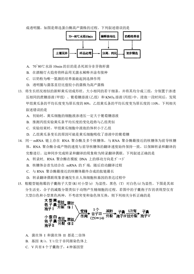 吉林省长春市2025届高三质量监测(一)生物试题（含答案）_A1502026各地模拟卷（超值！）_11月_241114吉林省长春市2024-2025学年高三上学期质量监测（一）（全科）