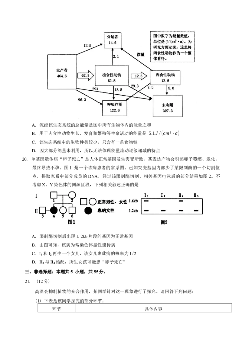 吉林省长春市2025届高三质量监测(一)生物试题（含答案）_A1502026各地模拟卷（超值！）_11月_241114吉林省长春市2024-2025学年高三上学期质量监测（一）（全科）