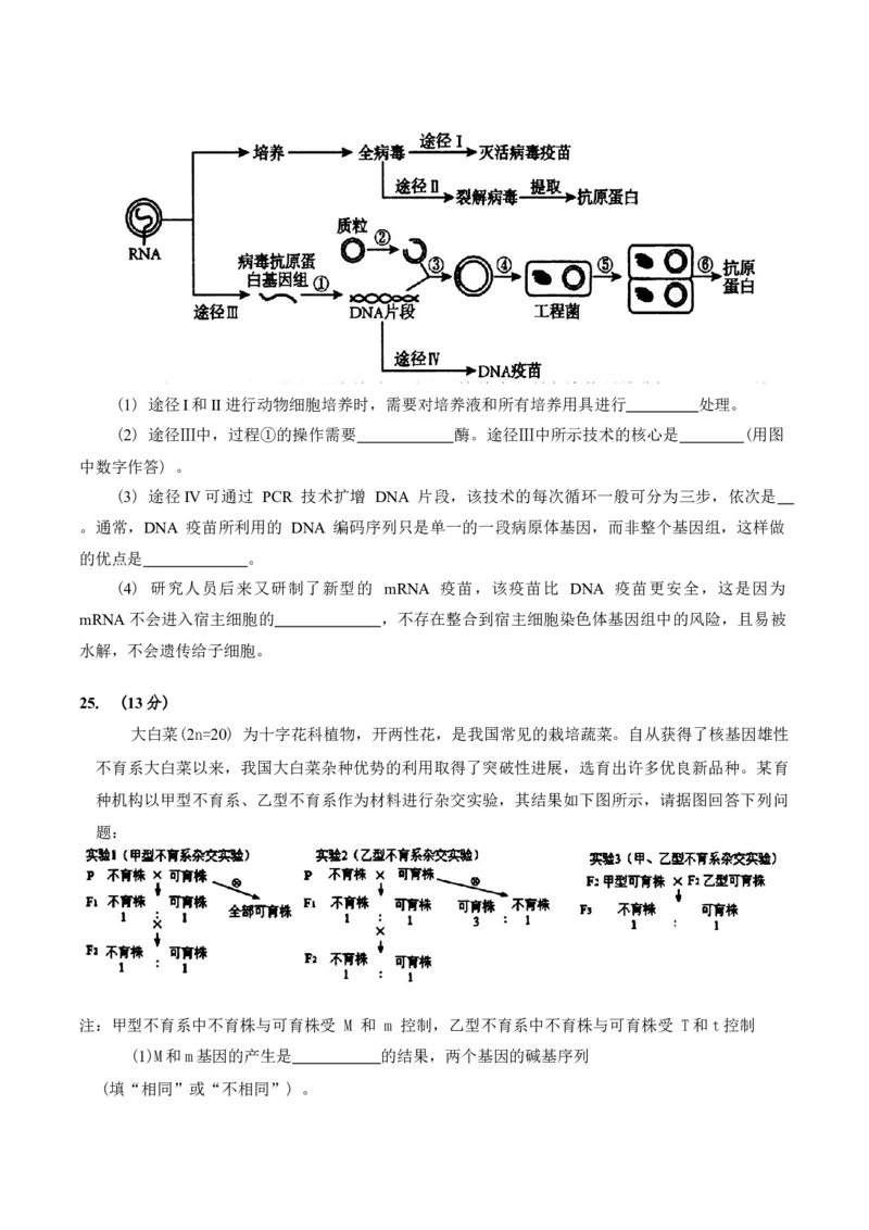 吉林省长春市2025届高三质量监测(一)生物试题（含答案）_A1502026各地模拟卷（超值！）_11月_241114吉林省长春市2024-2025学年高三上学期质量监测（一）（全科）