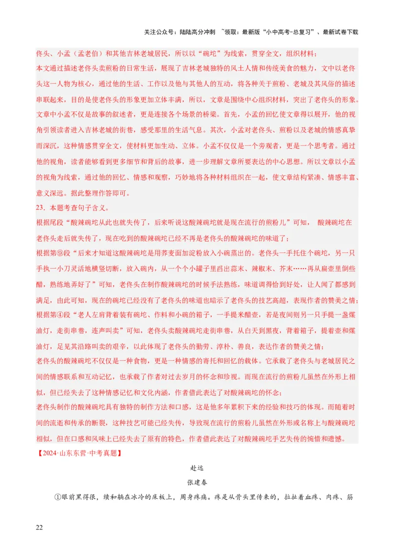 专题18小说阅读（二）（全国通用）（解析版）_02中考总复习（2026版更新中）_01-语文-中考总复习_2026年中考复习（更新中）