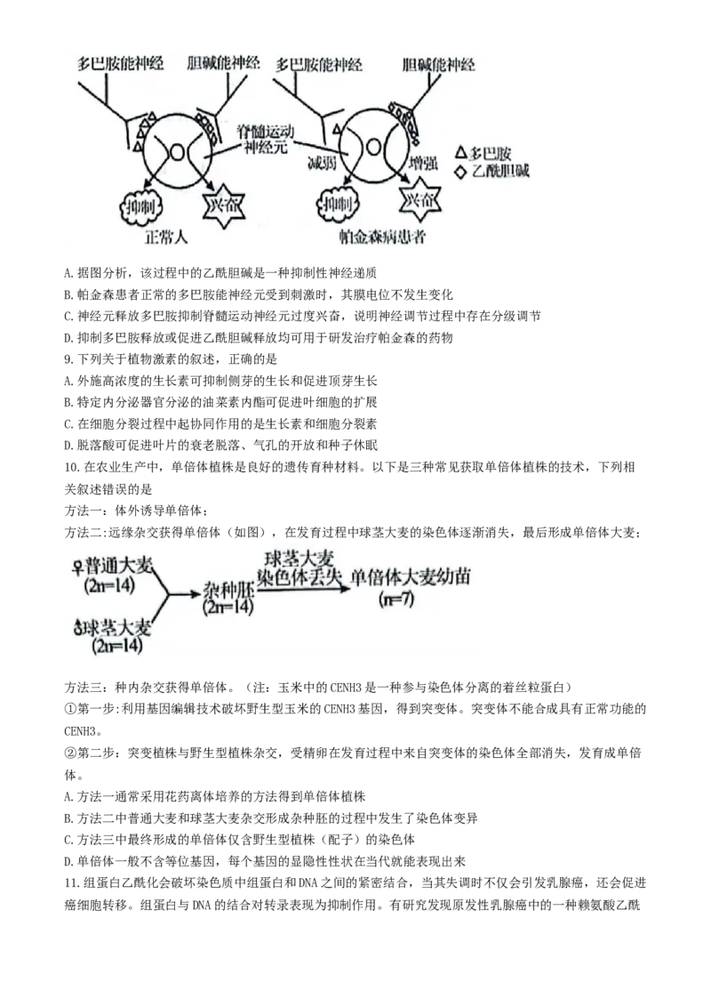 安徽省县中联盟2024-2025学年高三上学期9月开学联考生物试题_A1502026各地模拟卷（超值！）_9月_240908安徽省县中联盟2024-2025学年2025届高三9月联考（5009C）