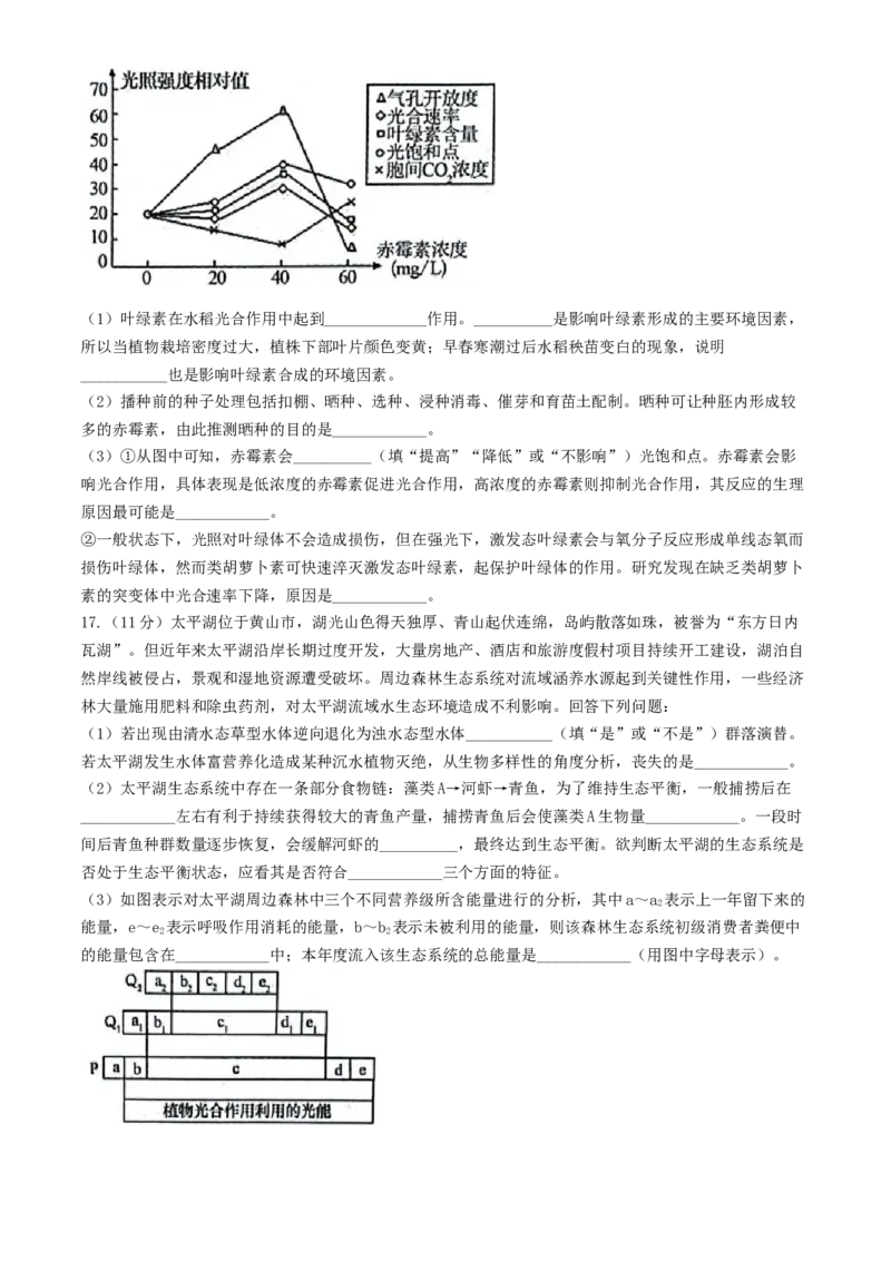 安徽省县中联盟2024-2025学年高三上学期9月开学联考生物试题_A1502026各地模拟卷（超值！）_9月_240908安徽省县中联盟2024-2025学年2025届高三9月联考（5009C）