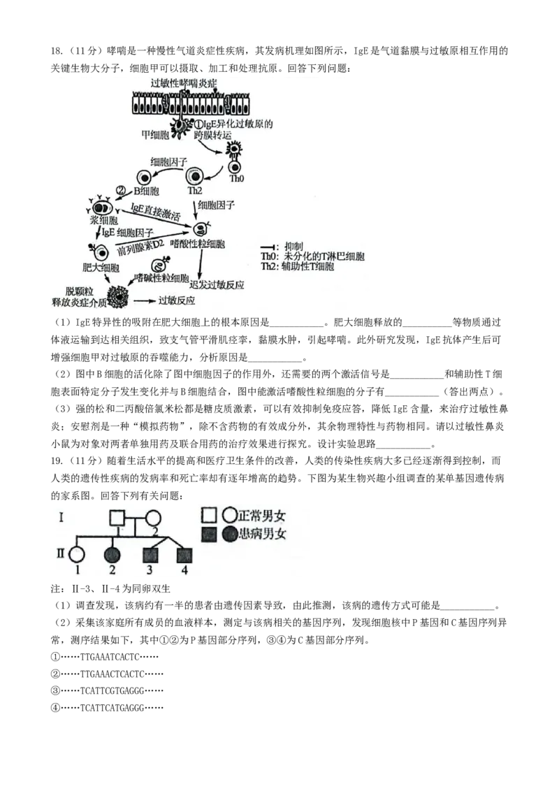 安徽省县中联盟2024-2025学年高三上学期9月开学联考生物试题_A1502026各地模拟卷（超值！）_9月_240908安徽省县中联盟2024-2025学年2025届高三9月联考（5009C）