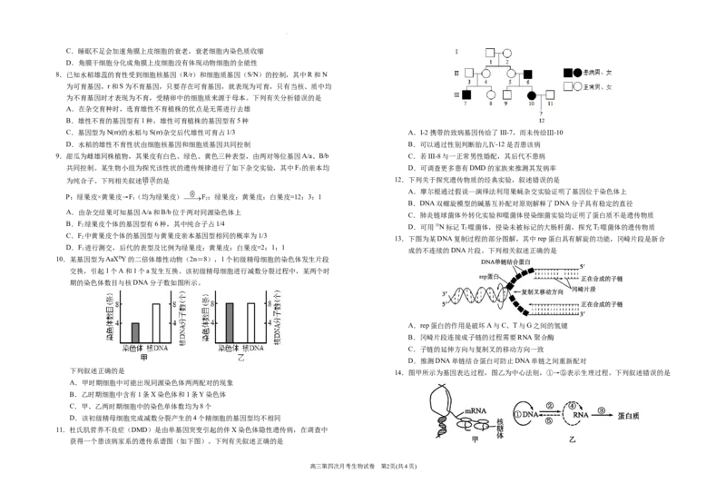 2025届高三第四次月考生物试卷_A1502026各地模拟卷（超值！）_12月_241204宁夏银川一中2025届高三上学期第四次月考_宁夏银川一中2025届高三上学期第四次月考生物