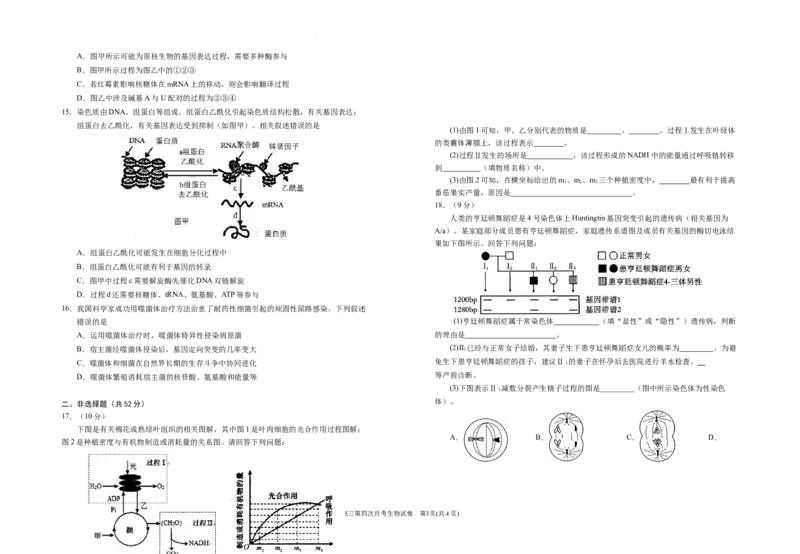 2025届高三第四次月考生物试卷_A1502026各地模拟卷（超值！）_12月_241204宁夏银川一中2025届高三上学期第四次月考_宁夏银川一中2025届高三上学期第四次月考生物