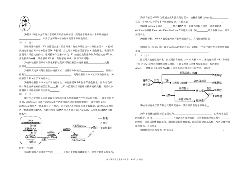 2025届高三第四次月考生物试卷_A1502026各地模拟卷（超值！）_12月_241204宁夏银川一中2025届高三上学期第四次月考_宁夏银川一中2025届高三上学期第四次月考生物