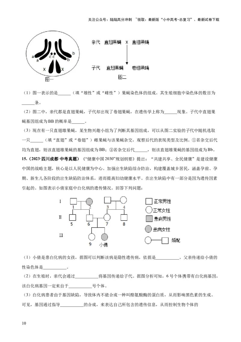 专题21生物的遗传和变异（练习）（原卷版）_02中考总复习（2026版更新中）_08-生物-中考总复习_2024年中考复习资料_一轮复习_❤2024年中考生物一轮复习讲练测（全国通用）_练习