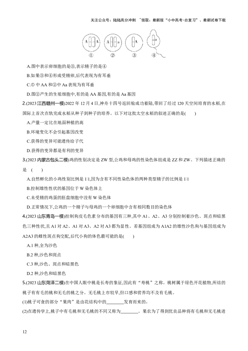 专题21生物的遗传和变异（练习）（原卷版）_02中考总复习（2026版更新中）_08-生物-中考总复习_2024年中考复习资料_一轮复习_❤2024年中考生物一轮复习讲练测（全国通用）_练习