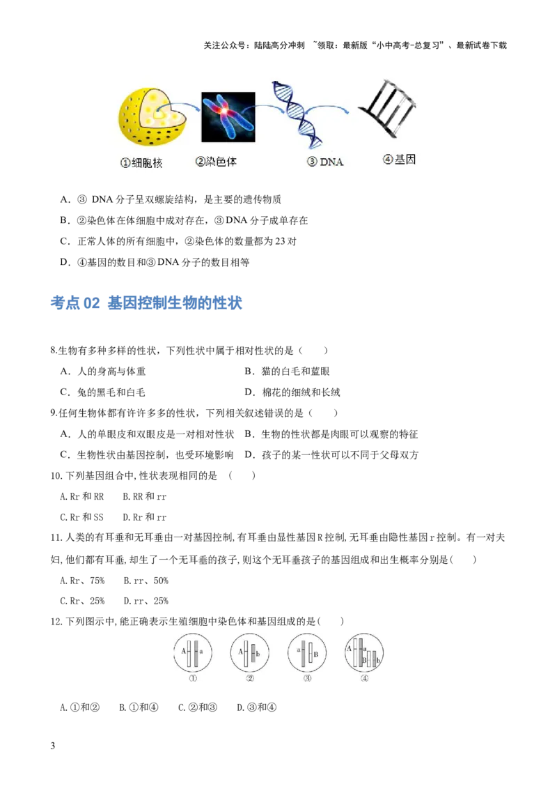 专题21生物的遗传和变异（练习）（原卷版）_02中考总复习（2026版更新中）_08-生物-中考总复习_2024年中考复习资料_一轮复习_❤2024年中考生物一轮复习讲练测（全国通用）_练习