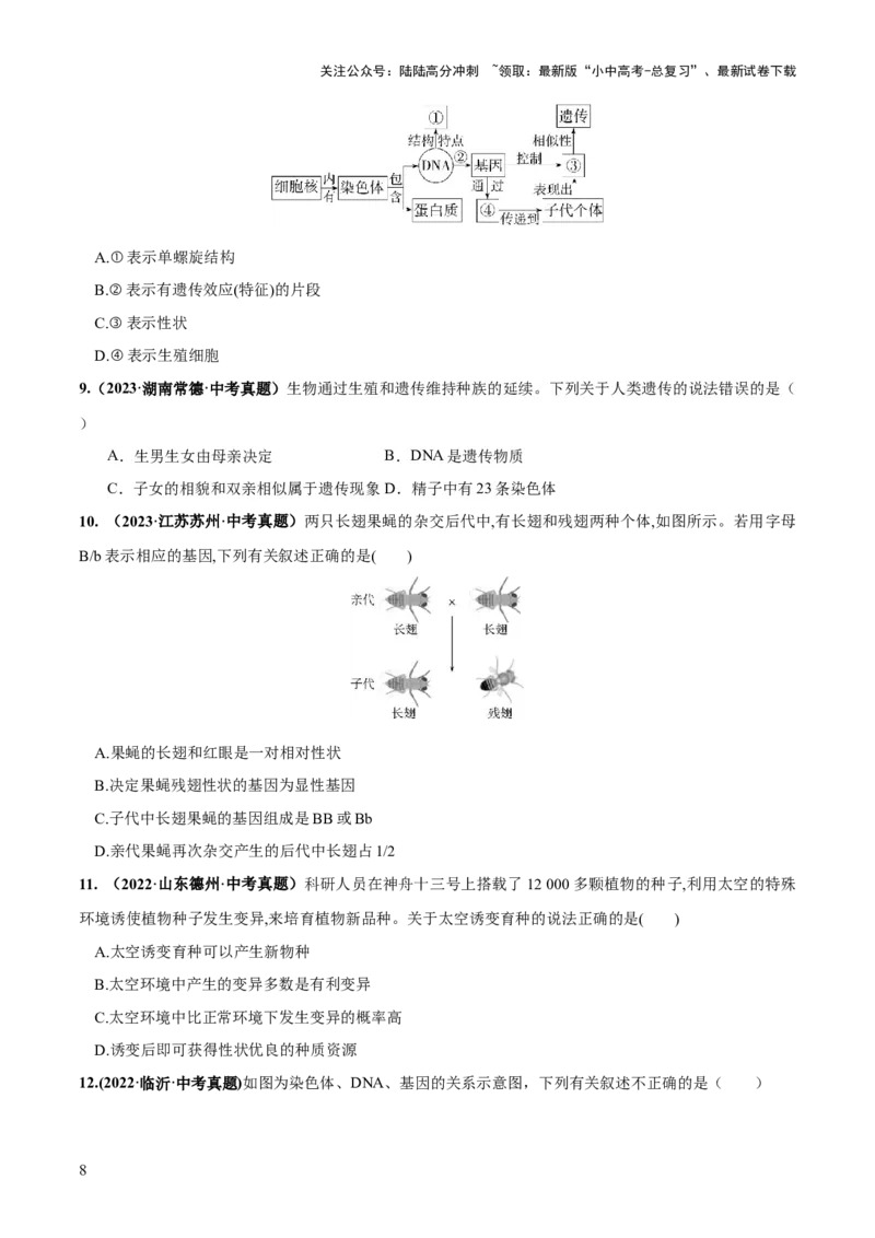 专题21生物的遗传和变异（练习）（原卷版）_02中考总复习（2026版更新中）_08-生物-中考总复习_2024年中考复习资料_一轮复习_❤2024年中考生物一轮复习讲练测（全国通用）_练习