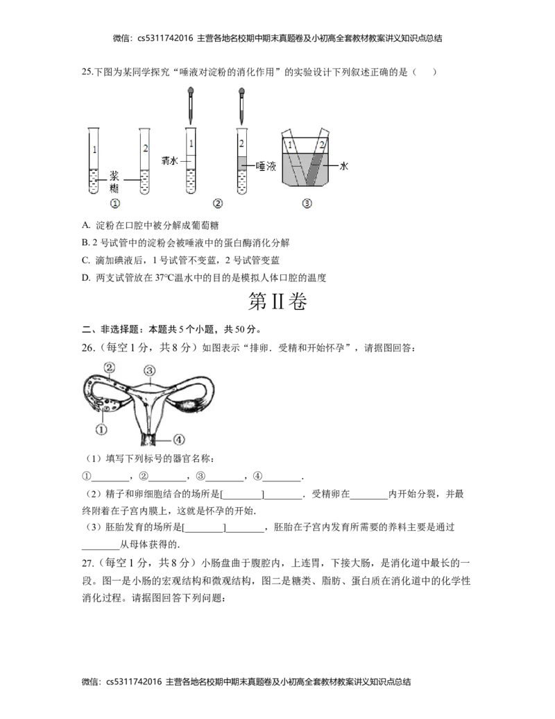 第一次阶段性检测B卷（考试版）测试范围：第一章、第二章(1)_北京初中期末题_C605-京七八九_B京生物七八九_北京7下生物_2022-2024_北京生物7下月考