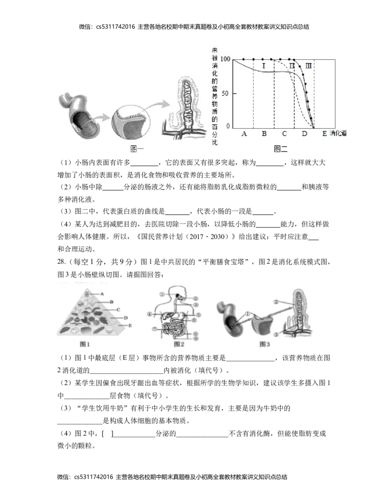第一次阶段性检测B卷（考试版）测试范围：第一章、第二章(1)_北京初中期末题_C605-京七八九_B京生物七八九_北京7下生物_2022-2024_北京生物7下月考