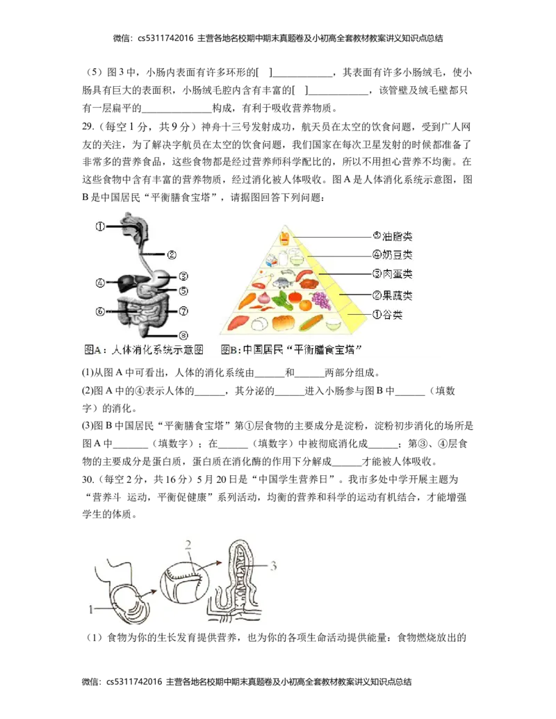 第一次阶段性检测B卷（考试版）测试范围：第一章、第二章(1)_北京初中期末题_C605-京七八九_B京生物七八九_北京7下生物_2022-2024_北京生物7下月考