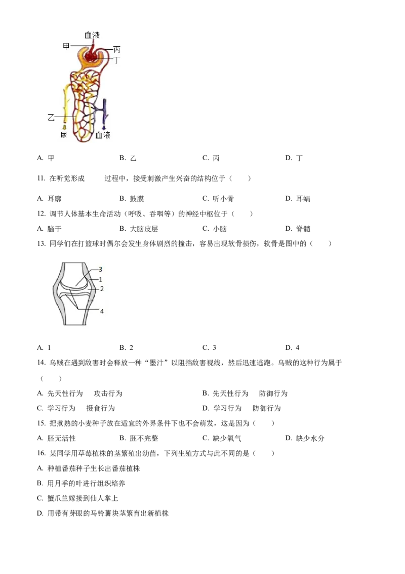 精品解析：2022年北京市大兴区八年级下学期期中练习（一模）生物试题（原卷版）(1)_北京初中期末题_C605-京七八九_B京生物七八九_北京八下生物