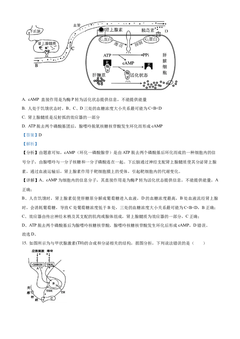 安徽省芜湖市镜湖区安徽师范大学附属中学2023-2024学年高二下学期6月测试生物答案_A1502026各地模拟卷（超值！）_6月_2406282024安徽师范大学附属中学高二下学期6月测试