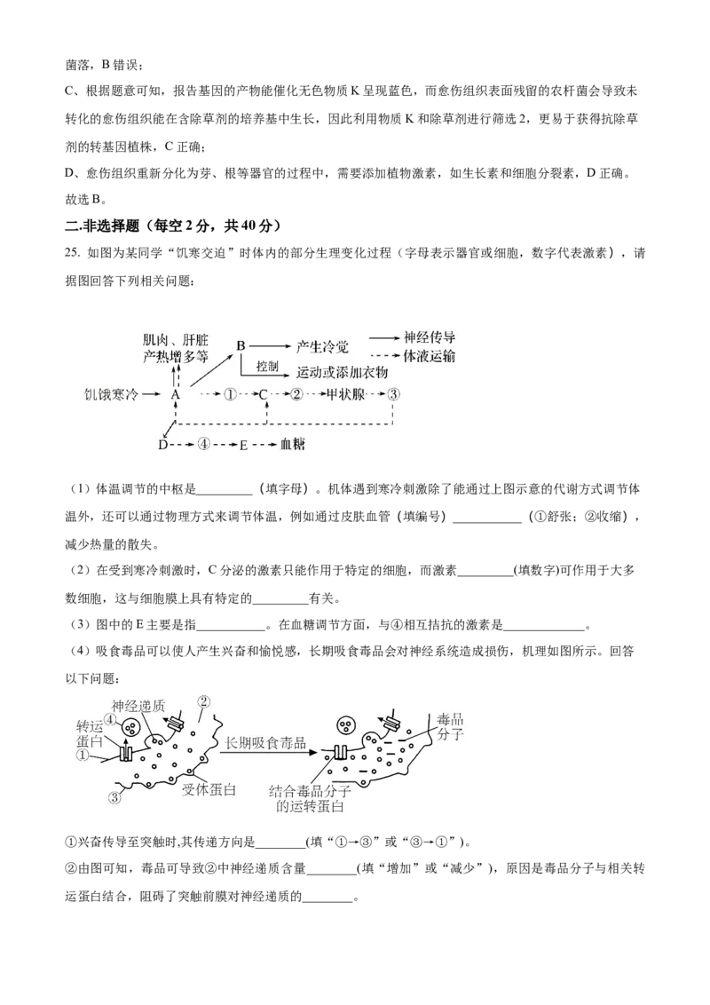 安徽省芜湖市镜湖区安徽师范大学附属中学2023-2024学年高二下学期6月测试生物答案_A1502026各地模拟卷（超值！）_6月_2406282024安徽师范大学附属中学高二下学期6月测试
