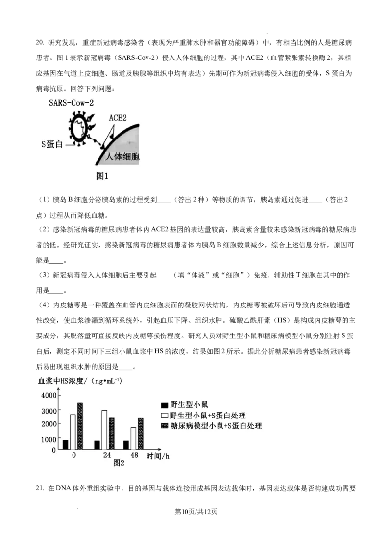 2025届广东省联考高三上学期10月第一次模拟（一模）生物试题_A1502026各地模拟卷（超值！）_10月_241018广东省（雷州市龙门中学、客路中学）两校2025届高三10月第一次模拟考试