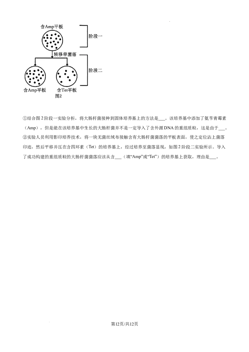 2025届广东省联考高三上学期10月第一次模拟（一模）生物试题_A1502026各地模拟卷（超值！）_10月_241018广东省（雷州市龙门中学、客路中学）两校2025届高三10月第一次模拟考试