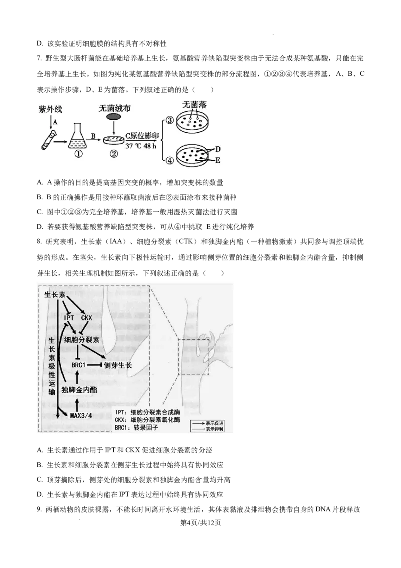 2025届广东省联考高三上学期10月第一次模拟（一模）生物试题_A1502026各地模拟卷（超值！）_10月_241018广东省（雷州市龙门中学、客路中学）两校2025届高三10月第一次模拟考试