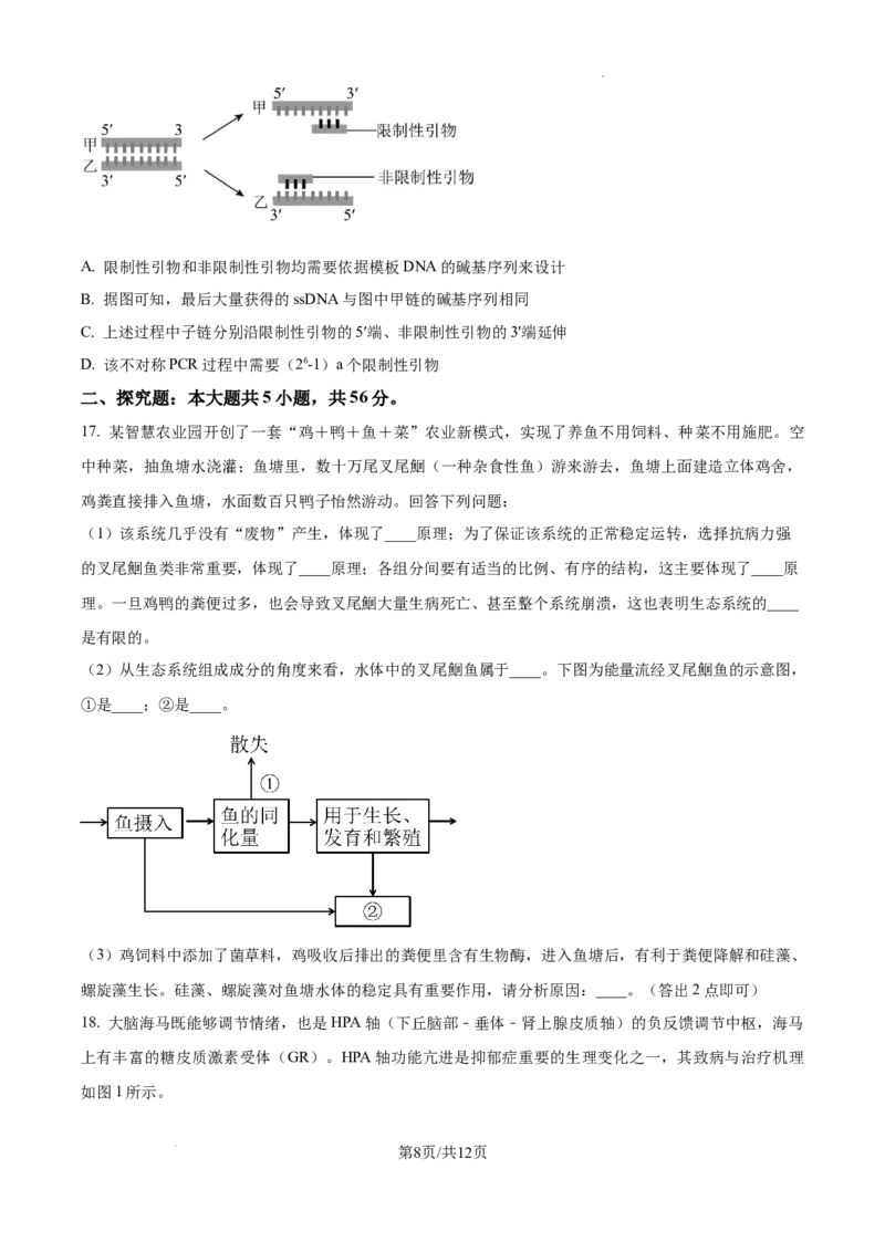 2025届广东省联考高三上学期10月第一次模拟（一模）生物试题_A1502026各地模拟卷（超值！）_10月_241018广东省（雷州市龙门中学、客路中学）两校2025届高三10月第一次模拟考试