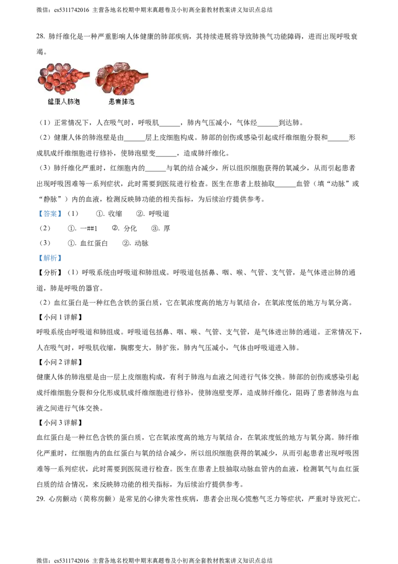 精品解析：北京市东城区2022-2023学年七年级下学期期末生物试题（解析版）(1)_北京初中期末题_C605-京七八九_B京生物七八九_北京7下生物_2022-2024_北京生物7下期末