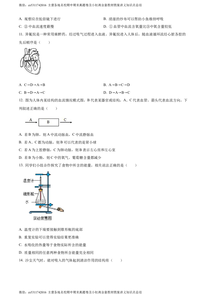 精品解析：北京市北京师范大学附属实验中学2022-2023学年七年级下学期期中生物试题（原卷版）(1)_北京初中期末题_C605-京七八九_B京生物七八九_北京7下生物_2022-2024_北京生物7下期中