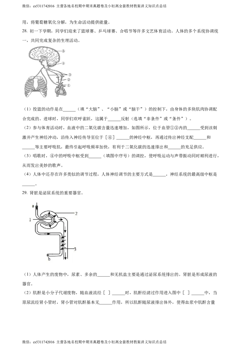 精品解析：北京市北京师范大学附属实验中学2022-2023学年七年级下学期期中生物试题（原卷版）(1)_北京初中期末题_C605-京七八九_B京生物七八九_北京7下生物_2022-2024_北京生物7下期中