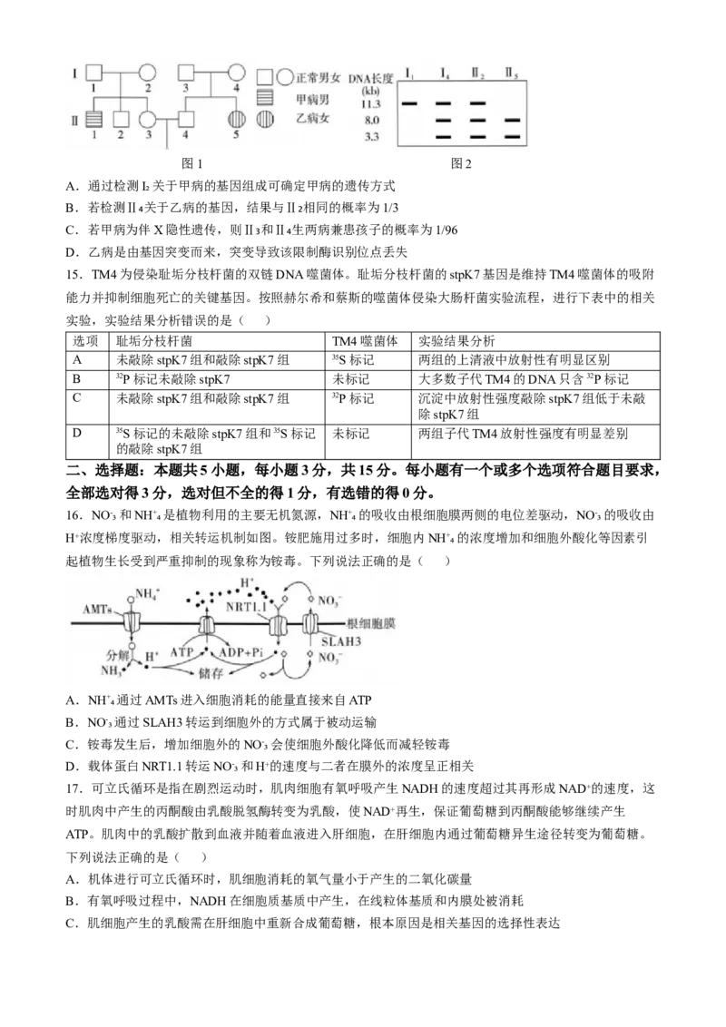 山东省实验中学2024&mdash;2025学年高三上学期第一次诊断生物试题(含答案）_A1502026各地模拟卷（超值！）_10月_241015山东省实验中学2024&mdash;2025学年高三上学期第一次诊断