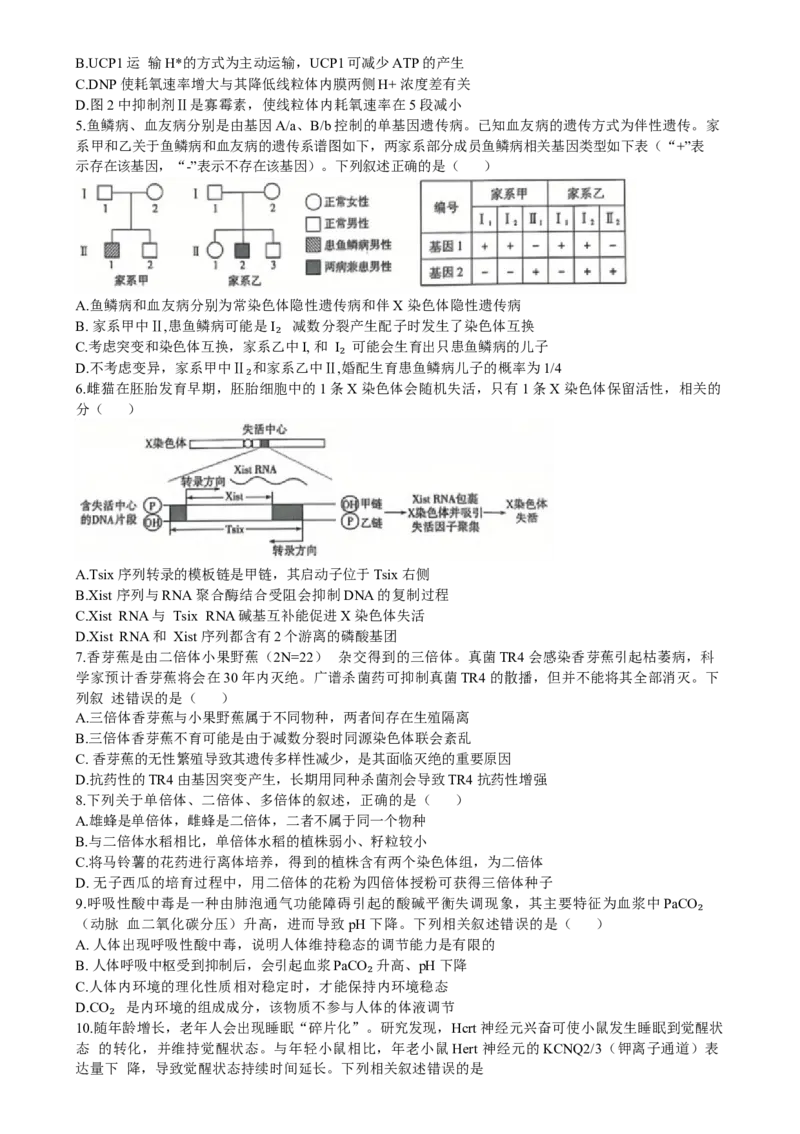 山东省齐鲁名校联盟大联考2024-2025学年高三上学期12月月考生物试题（含答案）_A1502026各地模拟卷（超值！）_12月