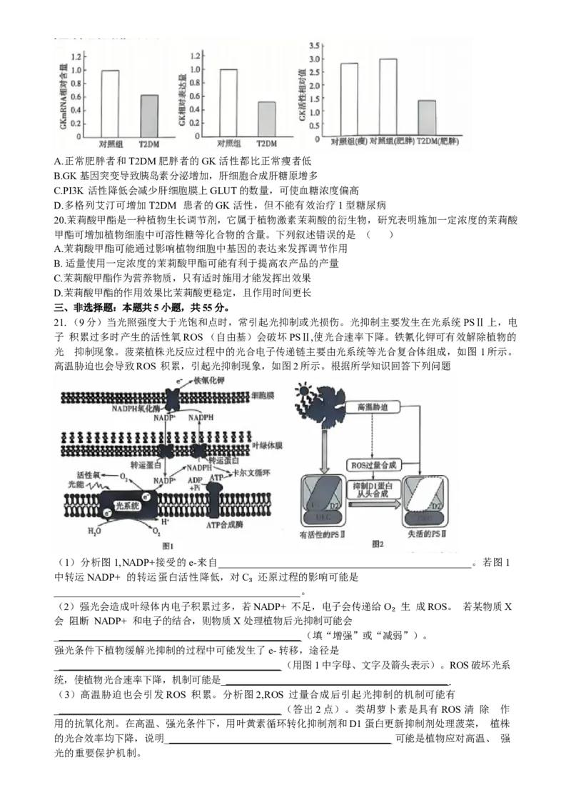 山东省齐鲁名校联盟大联考2024-2025学年高三上学期12月月考生物试题（含答案）_A1502026各地模拟卷（超值！）_12月