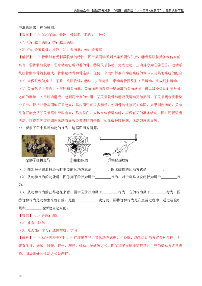 专题17哺乳动物的运动及动物在生物圈中的作用（习题精练）-省心备考2024年中考生物一轮复习精讲精练（全国通用）（解析版）_02中考总复习（2026版更新中）_08-生物-中考总复习