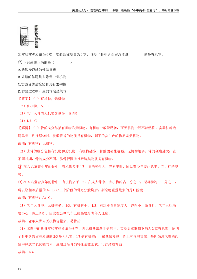 专题17哺乳动物的运动及动物在生物圈中的作用（习题精练）-省心备考2024年中考生物一轮复习精讲精练（全国通用）（解析版）_02中考总复习（2026版更新中）_08-生物-中考总复习